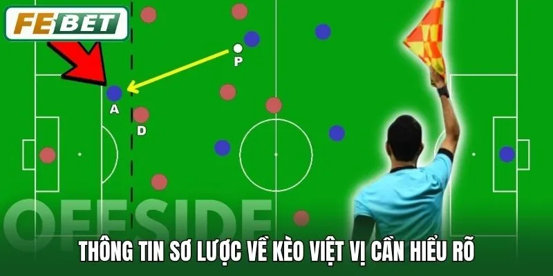 Thông tin sơ lược về kèo Việt Vị cần hiểu rõ